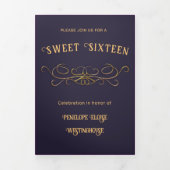 Schöner Abend Masquerade Ball Einladung (Cover)