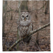 Schöner abgehaltene Eulen-Druck-Duschvorhang Duschvorhang (Vorderseite)
