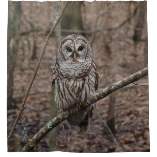 Schöner abgehaltene Eulen-Druck-Duschvorhang Duschvorhang (Vorderseite)