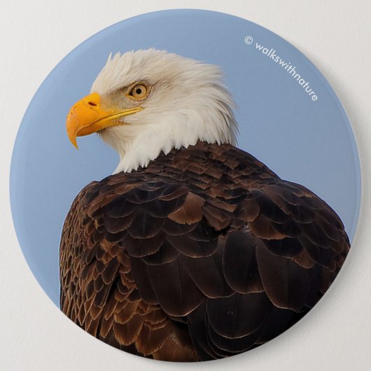 Schöner Adler im Baum Button (Vorderseite)