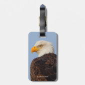 Schöner Adler im Baum Gepäckanhänger (Rückseite vertikal)