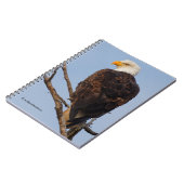 Schöner Adler im Baum Notizblock (Linke Seite)