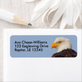 Schöner Adlervogel im Baum (Insitu)