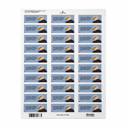 Schöner Adlervogel im Baum (Vorne)