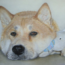 schöner akita Hund mit nachdenklichem Ausdruck Postkarte