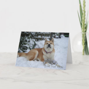 Schöner Akita-Hund ruht sich im Schnee zu Weihnach Feiertagskarte