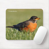 Schöner amerikanischer Robin im Winter Grass Mousepad (Mit Mouse)