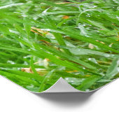 Schöner Andenbär im Grünen Poster (Ecke)