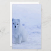 Schöner arktischer Fox Briefpapier (Vorne/Hinten)