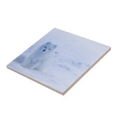 Schöner arktischer Fox Fliese (Seite)