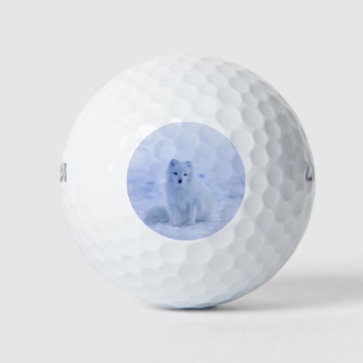 Schöner arktischer Fox Golfball (Vorderseite)