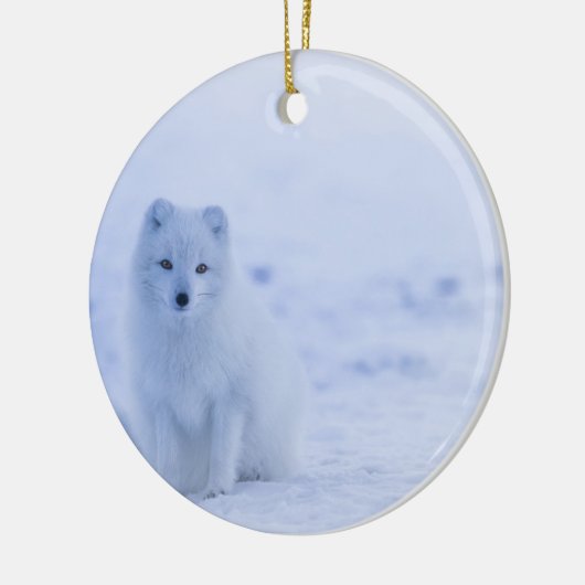 Schöner arktischer Fox Keramik Ornament (Links)