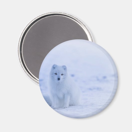 Schöner arktischer Fox Magnet (Vorderseite/Rückseite)
