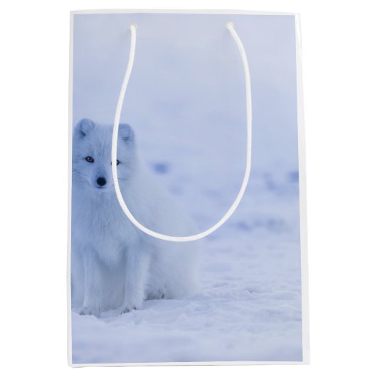 Schöner arktischer Fox Mittlere Geschenktüte (Vorderseite)