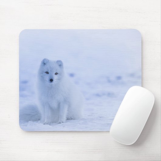Schöner arktischer Fox Mousepad (Mit Mouse)
