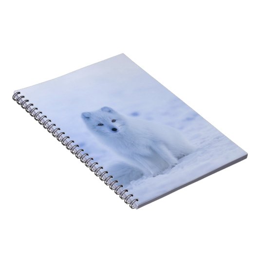 Schöner arktischer Fox Notizblock (Rechte Seite)