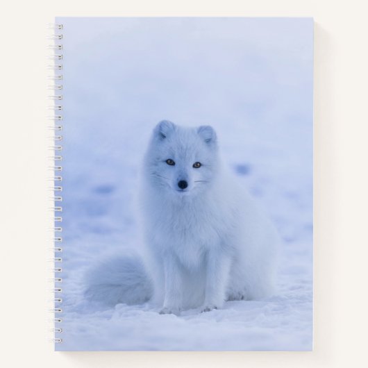 Schöner arktischer Fox Notizblock (Vorderseite)