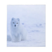 Schöner arktischer Fox Notizblock (Vorderseite)