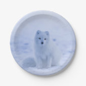 Schöner arktischer Fox Pappteller (Vorderseite)