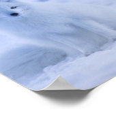 Schöner arktischer Fox Poster (Ecke)