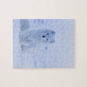 Schöner arktischer Fox Puzzle (Horizontal)