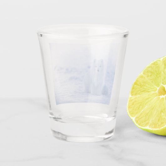 Schöner arktischer Fox Schnapsglas (Rückseite)