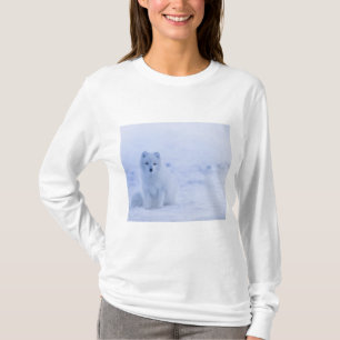 Schöner arktischer Fox T-Shirt