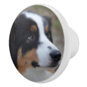 Schöner Australier Keramikknauf (Rechts)