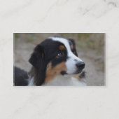 Schöner Australier Visitenkarte (Rückseite)