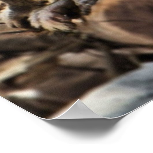 schöner Babodruck Poster (Ecke)