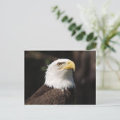 Schöner Bald Adler... Postkarte (Stehend Vorderseite)