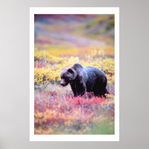 Schöner Bär in Frühlingsblumen Print Poster