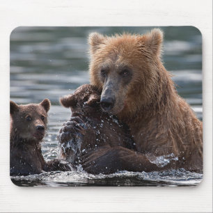 Schöner Bär und ihre Naben Mousepad