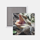 Schöner Bartagame Lil' Murph Magnet (Vorderseite/Rückseite)