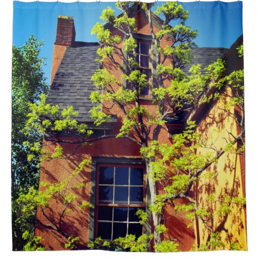 Schöner Baumduschvorhang Duschvorhang (Vorderseite)