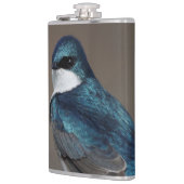 Schöner Baumschlamm Songbird auf einem Draht Flachmann (Links)