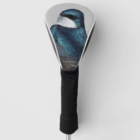 Schöner Baumschlamm Songbird auf einem Draht Golf Headcover (Vorderseite)