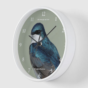 Schöner Baumschlamm Songbird auf einem Draht Uhr