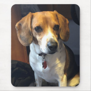 Schöner Beagle Mousepad