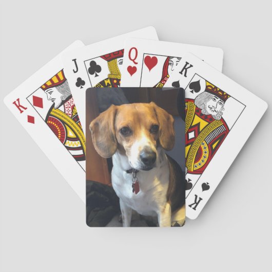 Schöner Beagle-Spielkarten Spielkarten (Rückseite)