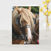 Schöner Belgier Karte (Gelbe Blume)