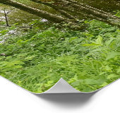 Schöner Belgischer Wald und Fluss, Reise Poster (Ecke)