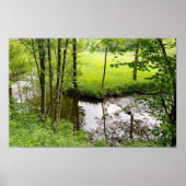 Schöner Belgischer Wald und Fluss, Reise Poster (Vorne)