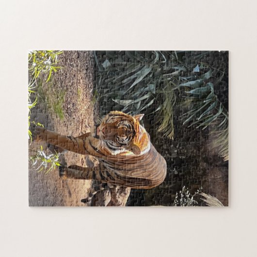 Schöner Bengalischer Tiger Puzzle (Horizontal)