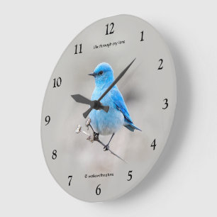 Schöner Berg Blaumeise Singvogel auf Rainfarn Große Wanduhr