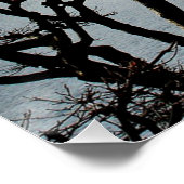 Schöner Berg Fuji Poster (Ecke)