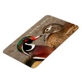 Schöner Berührungsmoment zwischen Holzenten Magnet (Linke Seite)