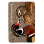 Schöner Berührungsmoment zwischen Holzenten Magnet (Vertikal)