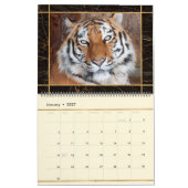 Schöner Big Cats Foto Bilderkalender Kalender (Jan 2027)