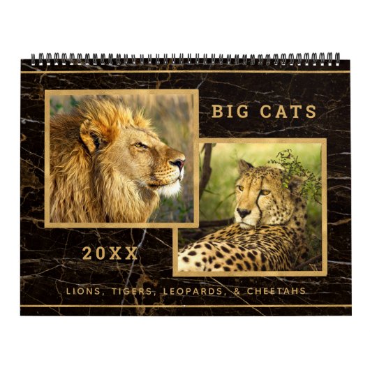 Schöner Big Cats Foto Bilderkalender Kalender (Titelbild)